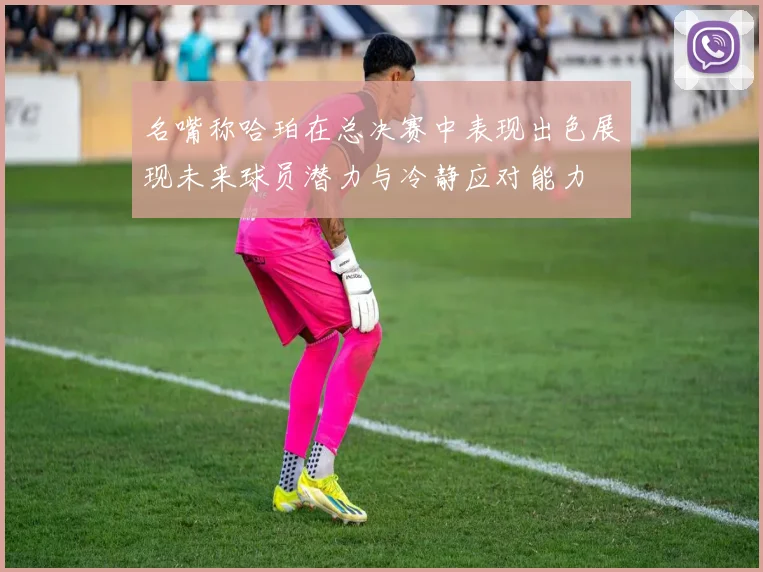 名嘴称哈珀在总决赛中表现出色展现未来球员潜力与冷静应对能力