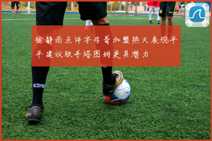 徐静雨点评字母哥加盟热火表现平平建议联手塔图姆更具潜力