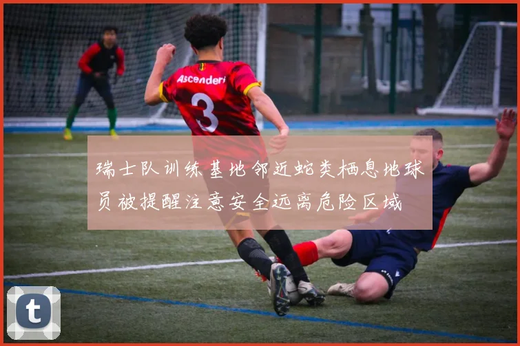 瑞士队训练基地邻近蛇类栖息地球员被提醒注意安全远离危险区域