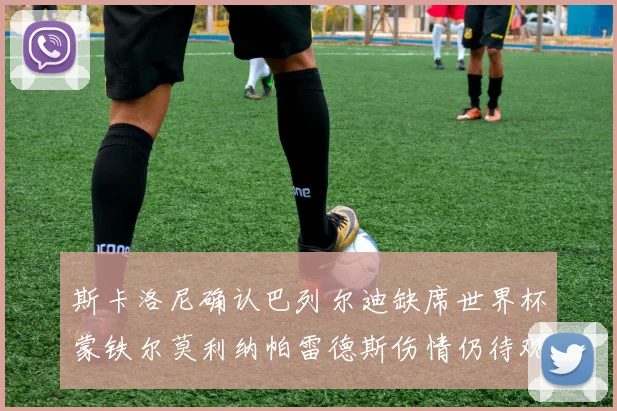 斯卡洛尼确认巴列尔迪缺席世界杯蒙铁尔莫利纳帕雷德斯伤情仍待观察